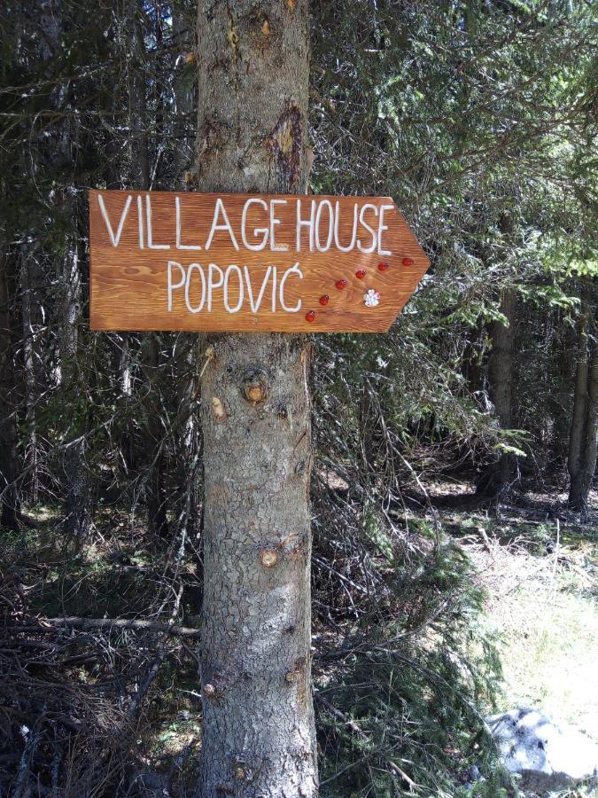 Village House Popovic Žabljak 外观 照片