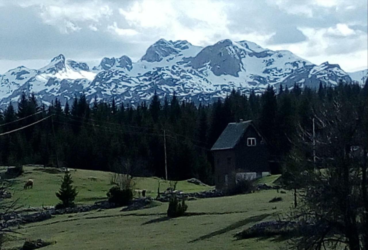 Village House Popovic Žabljak 外观 照片